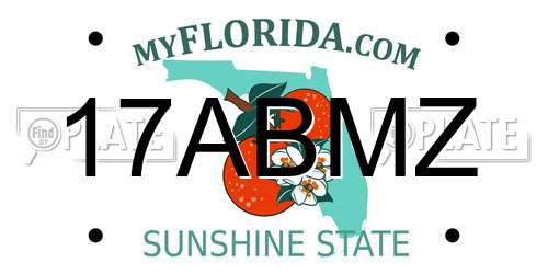 17ABMZ Florida License Plate