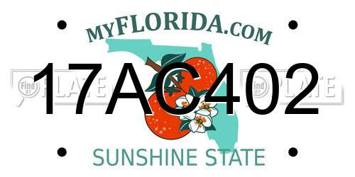 17AC402 Florida License Plate