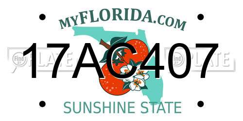 17AC407 Florida License Plate