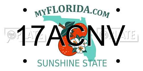 17ACNV Florida License Plate