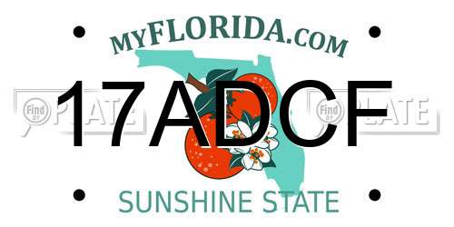 17ADCF Florida License Plate