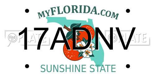 17ADNV Florida License Plate
