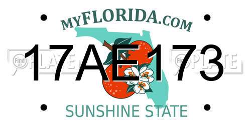 17AE173 Florida License Plate