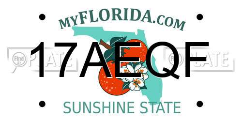 17AEQF Florida License Plate