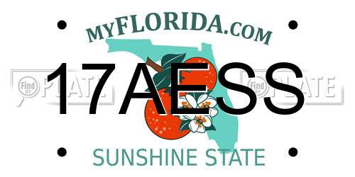 17AESS Florida License Plate
