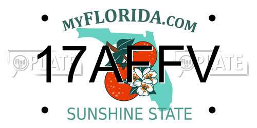 17AFFV Florida License Plate