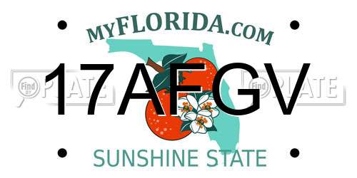 17AFGV Florida License Plate