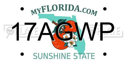 17AGWP Florida License Plate