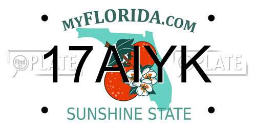 17AIYK Florida License Plate