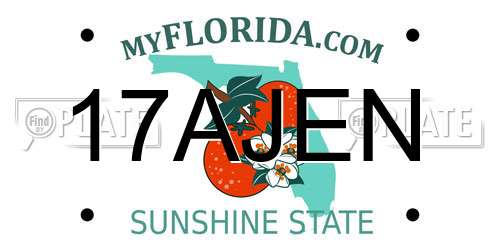 17AJEN Florida License Plate