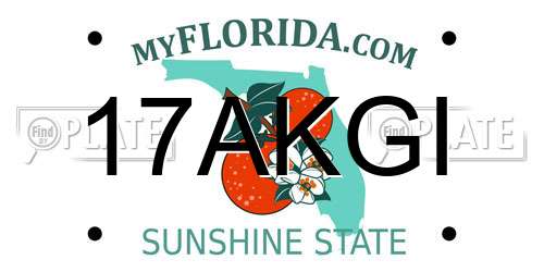 17AKGI Florida License Plate
