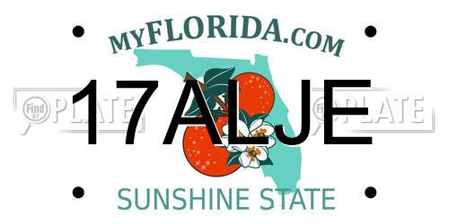 17ALJE Florida License Plate