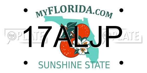 17ALJP Florida License Plate