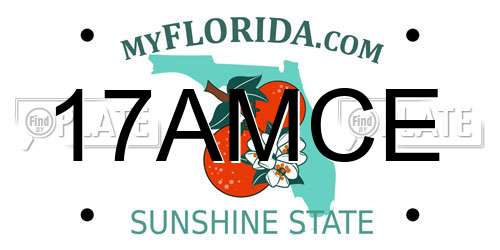 17AMCE Florida License Plate