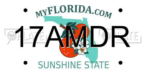17AMDR Florida License Plate