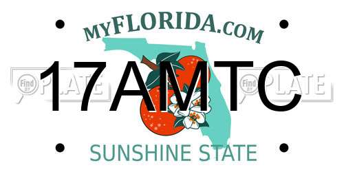17AMTC Florida License Plate
