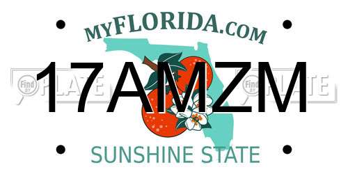17AMZM Florida License Plate