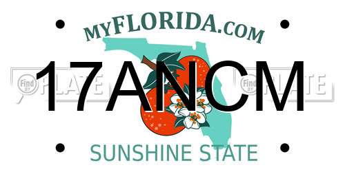 17ANCM Florida License Plate
