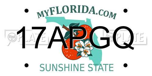 17APGQ Florida License Plate