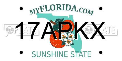 17APKX Florida License Plate