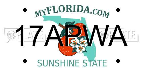 17APWA Florida License Plate