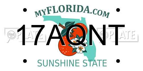 17AQNT Florida License Plate