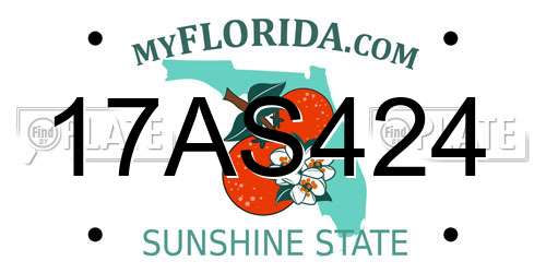 17AS424 Florida License Plate