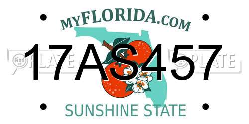 17AS457 Florida License Plate