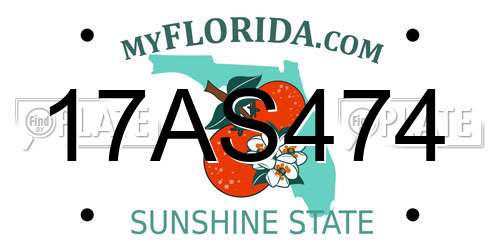 17AS474 Florida License Plate