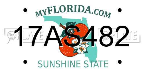17AS482 Florida License Plate