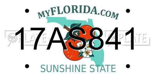 17AS841 Florida License Plate