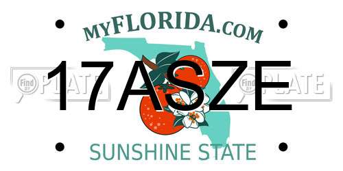 17ASZE Florida License Plate