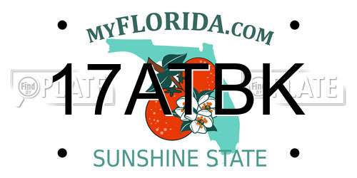 17ATBK Florida License Plate