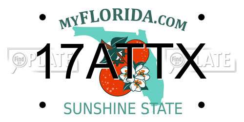 17ATTX Florida License Plate