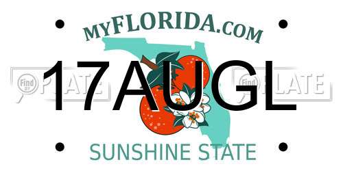 17AUGL Florida License Plate