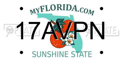 17AVPN Florida License Plate