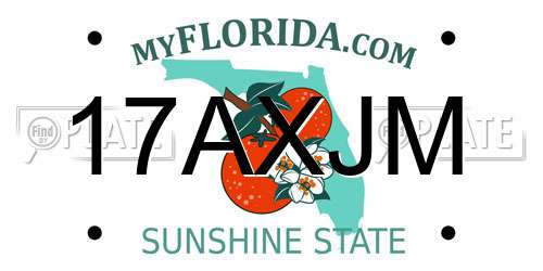 17AXJM Florida License Plate