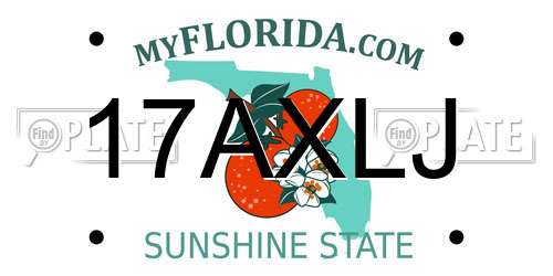 17AXLJ Florida License Plate