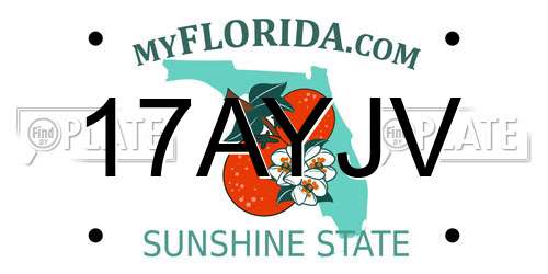 17AYJV Florida License Plate