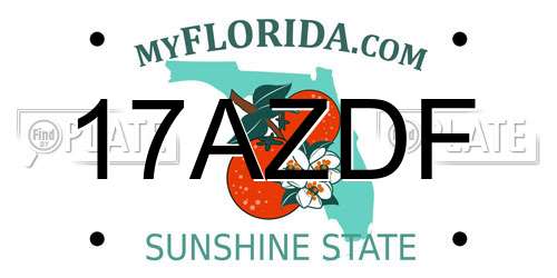 17AZDF Florida License Plate