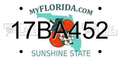17BA452 Florida License Plate