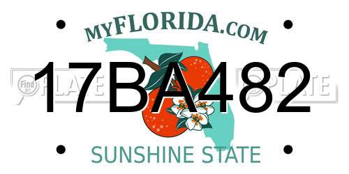 17BA482 Florida License Plate