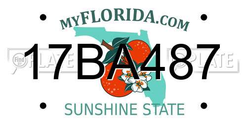17BA487 Florida License Plate