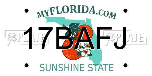 17BAFJ Florida License Plate