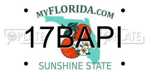17BAPI Florida License Plate