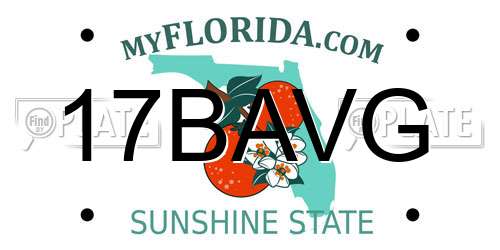 17BAVG Florida License Plate