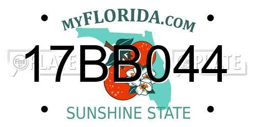 17BB044 Florida License Plate