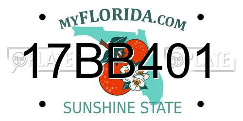 17BB401 Florida License Plate