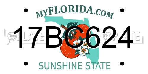17BC624 Florida License Plate