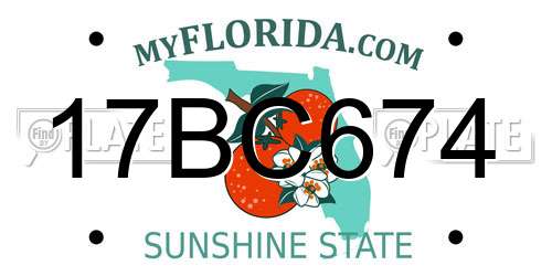 17BC674 Florida License Plate